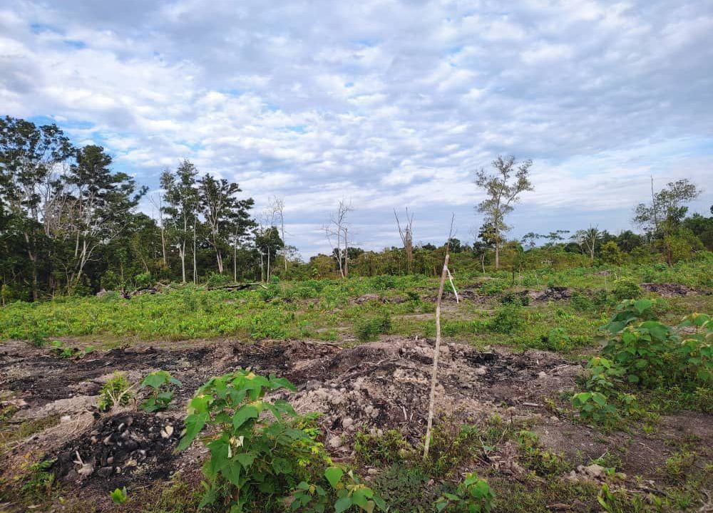 2-tanah-lot-bangunan-kg-seri-damai-ejen-perunding-hartanah-kuantan