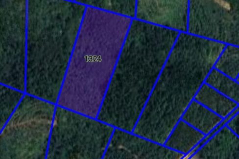 Tanah Pertanian Mukim Dong, Raub, Pahang Untuk Dijual