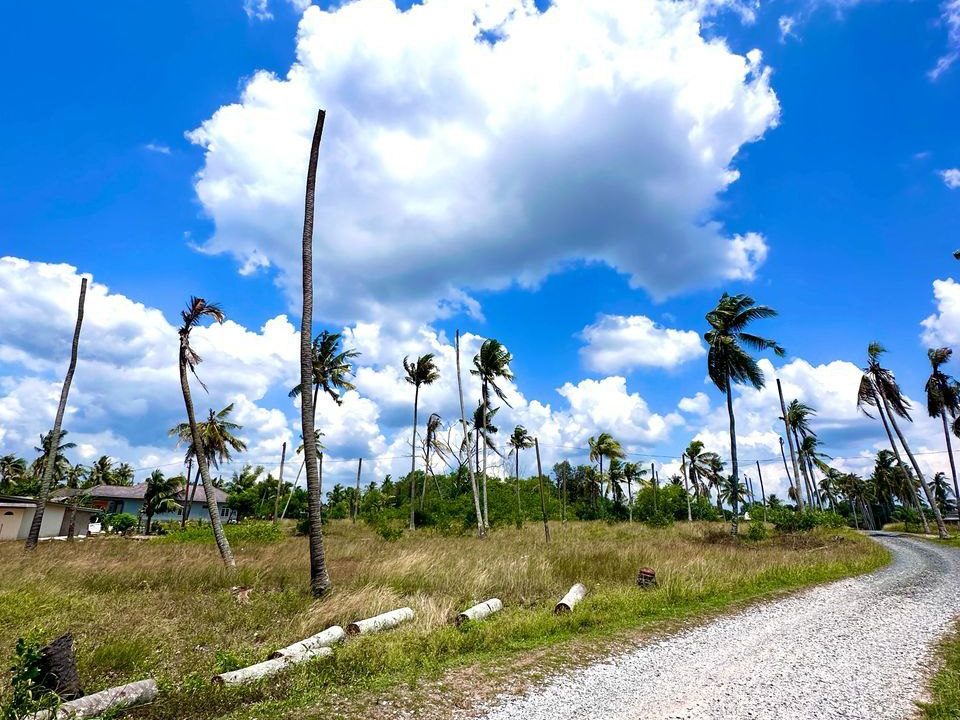 photo_6325622976397034346_y