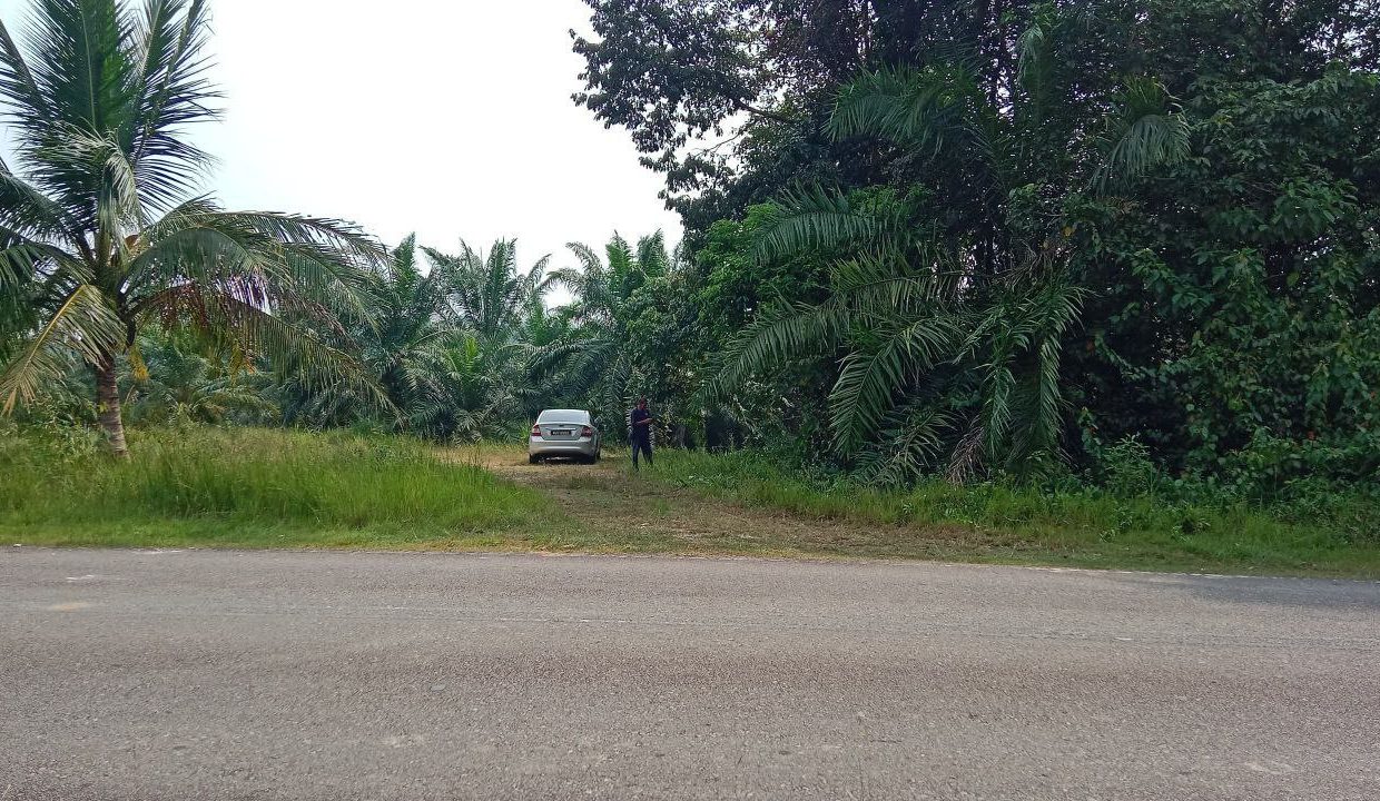 tanah-pertanian-kg-luit-maran-ejen-perunding-hartanah-kuantan (2)