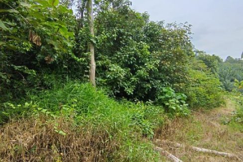 tanah pertaninan untuk dijual di raub pahang