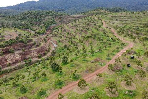 kebun durian siap infra gambang