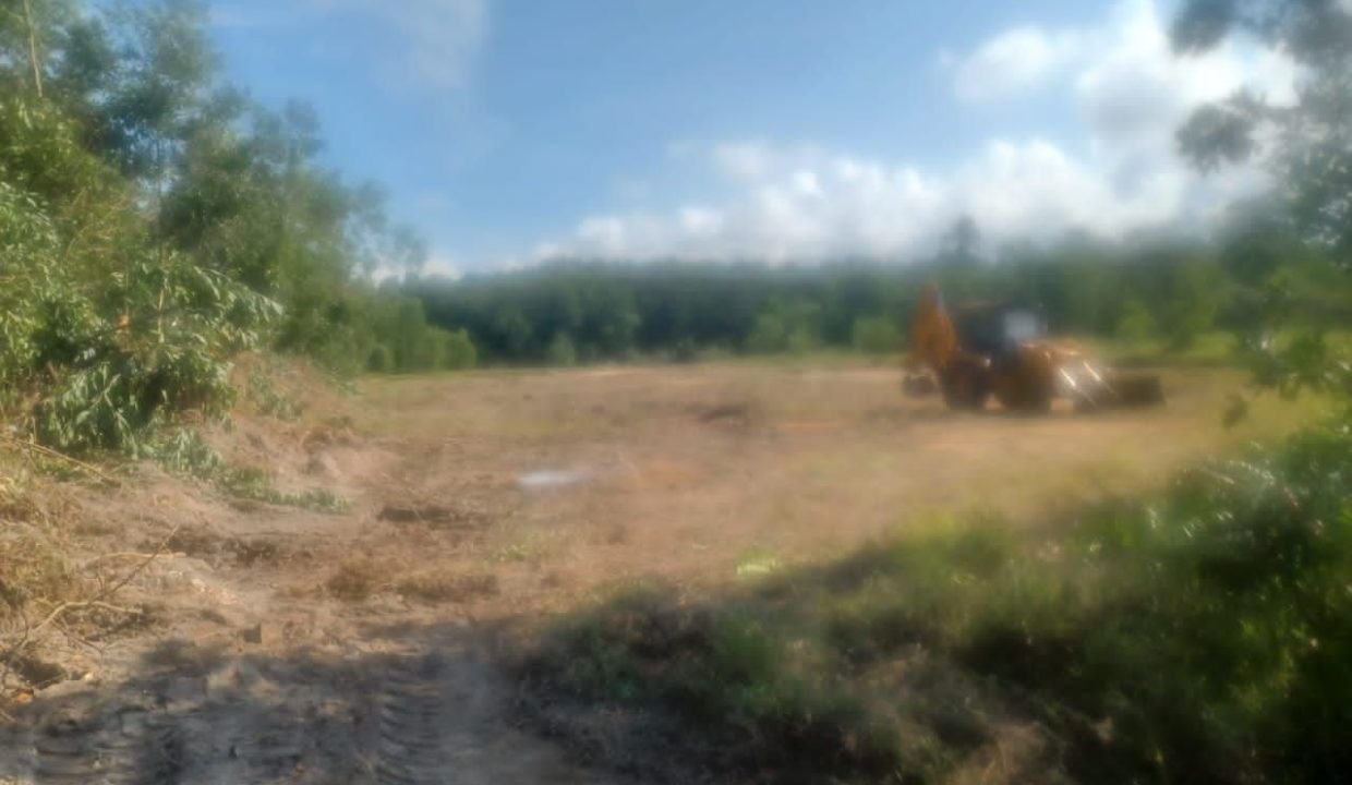 lot-tanah-sg-ular-ejen-perunding-hartanah-kuantan (3)