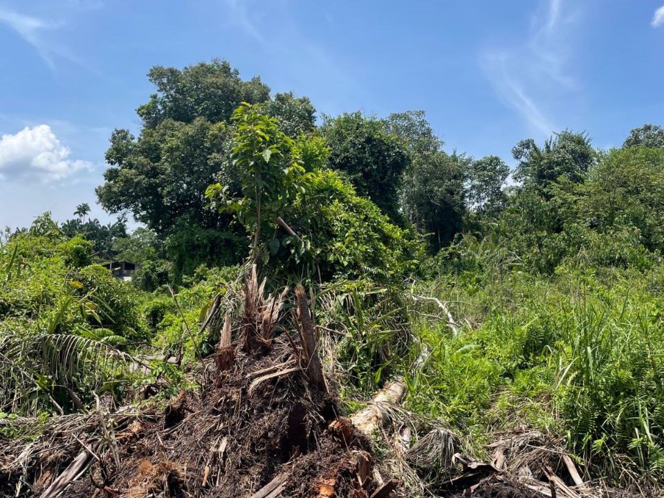 tanah-lot-banglo-taman-rendang-pekan-ejen-perunding-hartanah-kuantan (1)