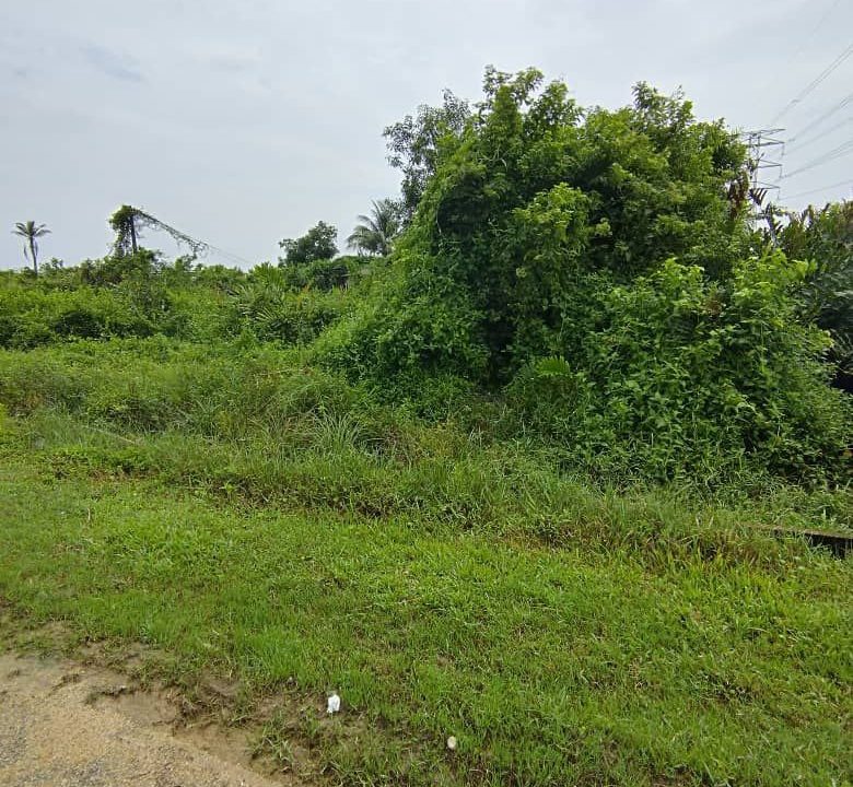 tanah-lot-kg-razali-batu4-ejen-perunding-hartanah-kuantan