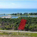 tanah peranian tepi jalan nenasi pekan