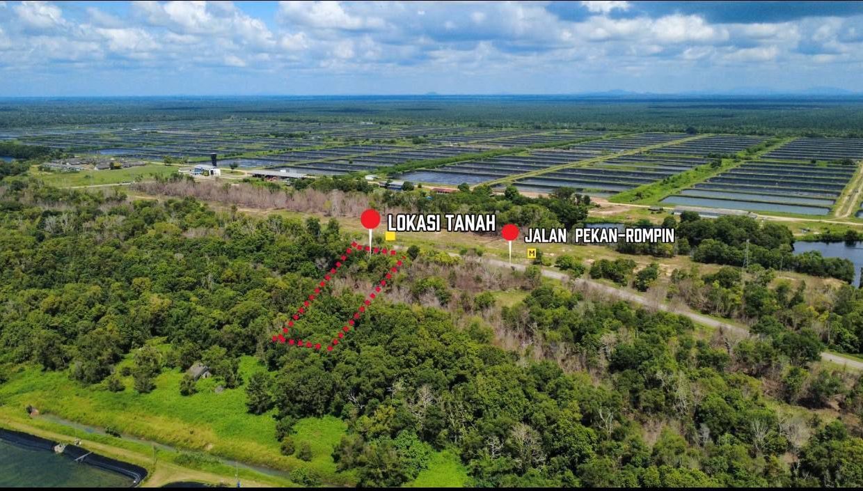 tanah-pertanian-tepi-jalan-nenasi-pekan-ejen-perunding-hartanah-kuantan
