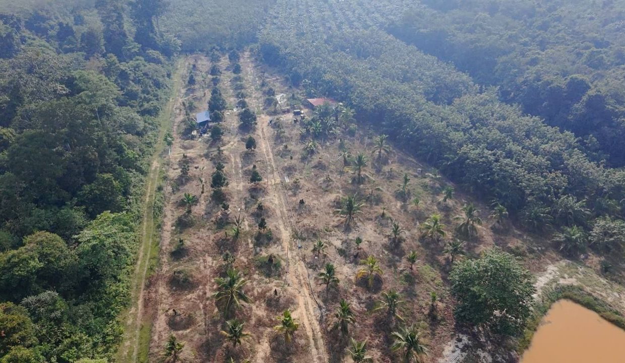 dusun-durian-dan-kelapa-chenor-maran-ejen-perunding-hartanah-kuantan (3)