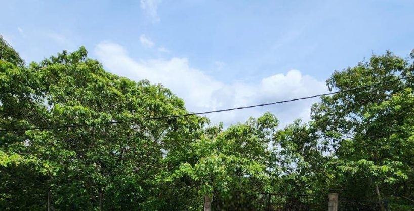 tanah lot banglo astana villa indera mahkota