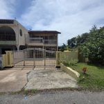 corner lot teres dua tingkat taman hijau karak