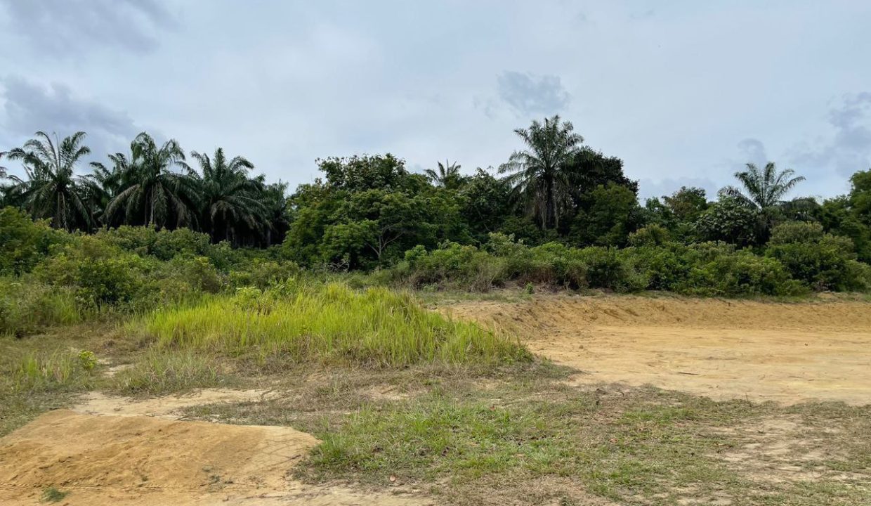 lot-tanah-rtp-bukit-goh-ejen-perunding-hartanah-kuantan