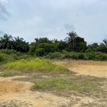 lot tanah trp bukit goh