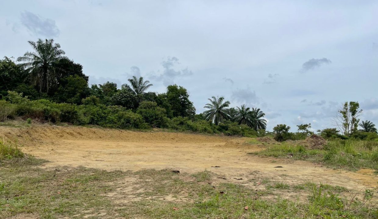 lot-tanah-rtp-bukit-goh-ejen-perunding-hartanah-kuantan (2)