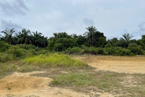 lot tanah trp bukit goh