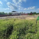 tanah lot sungai ular