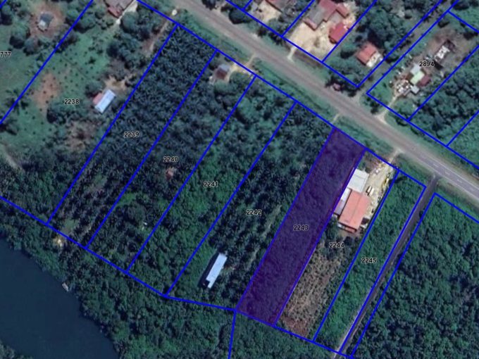 tanah tepi jalan utama tanjung gemuk