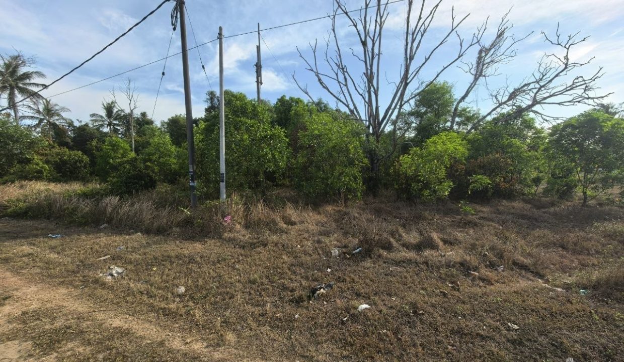 teres-setingkat-sg-ular-cheratibf-ejen-perunding-hartanah-kuantan (1)