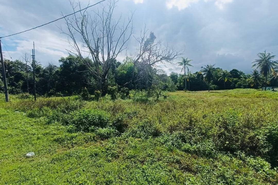 teres-setingkat-sg-ular-cheratibf-ejen-perunding-hartanah-kuantan (4)