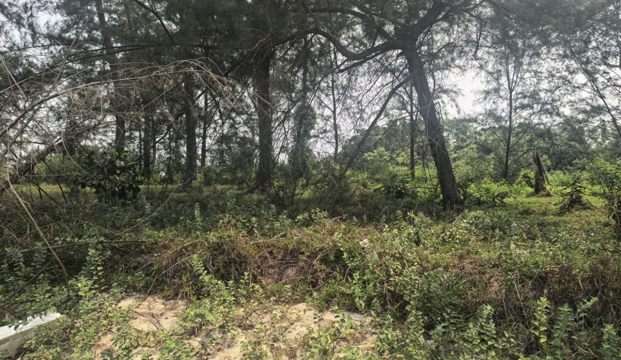 tanah-tepi-pantai-sg-ular-ejen-perunding-hartanah-kuantan (2)