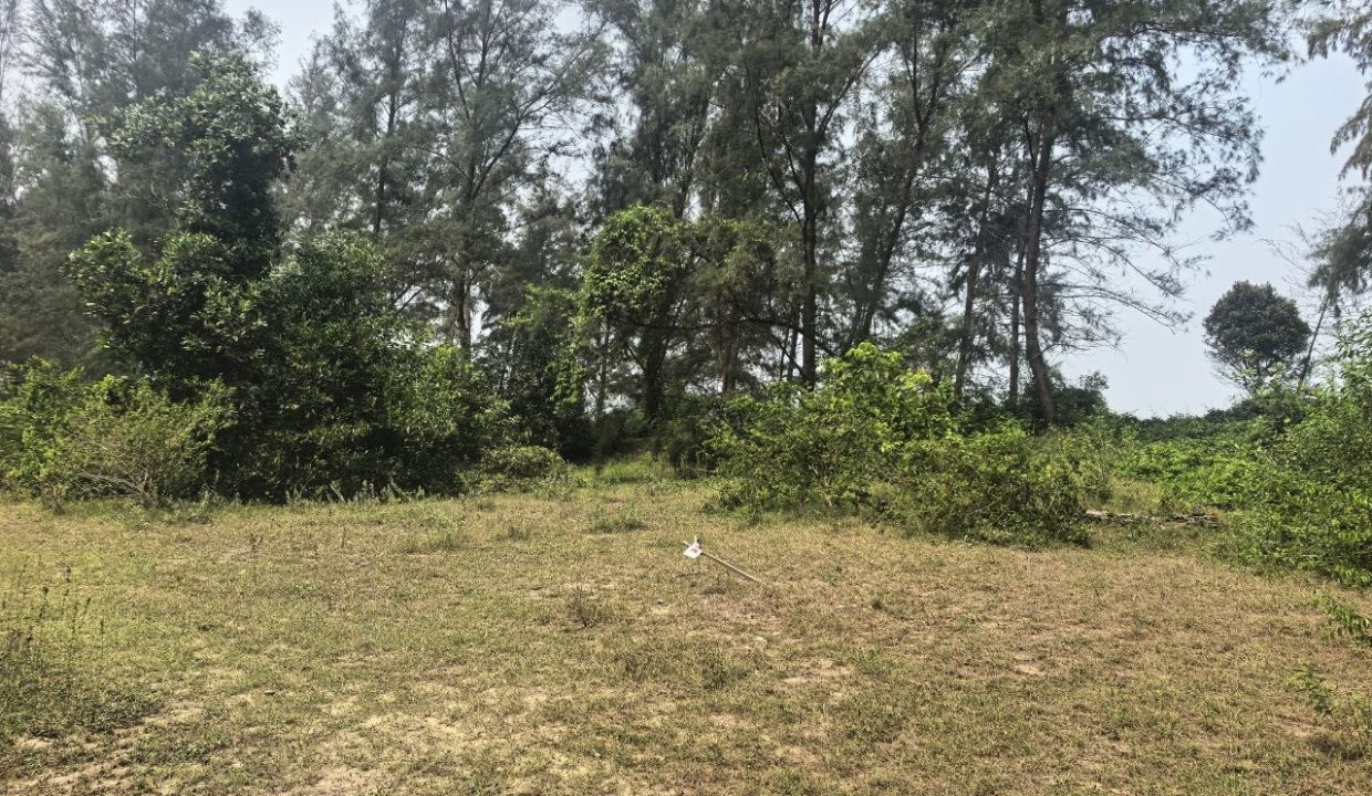 tanah-tepi-pantai-sg-ular-ejen-perunding-hartanah-kuantan (4)